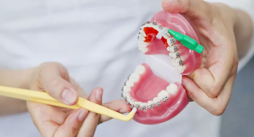 Orthodontists